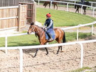 BP140425-18 - Squire Danagher (red hat)